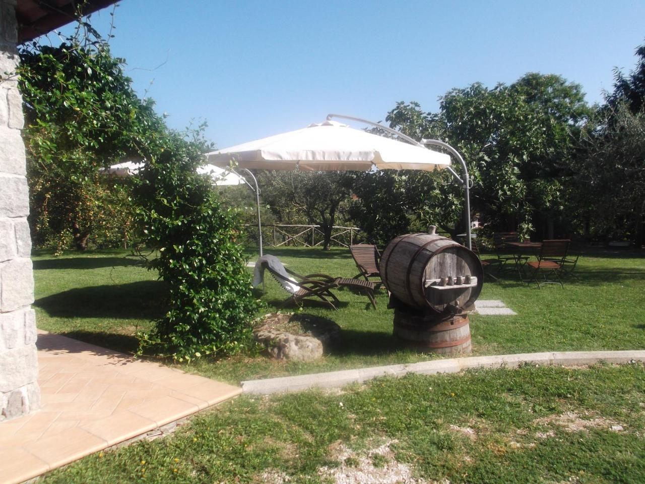 Agriturismo Casal Grande Canepina エクステリア 写真