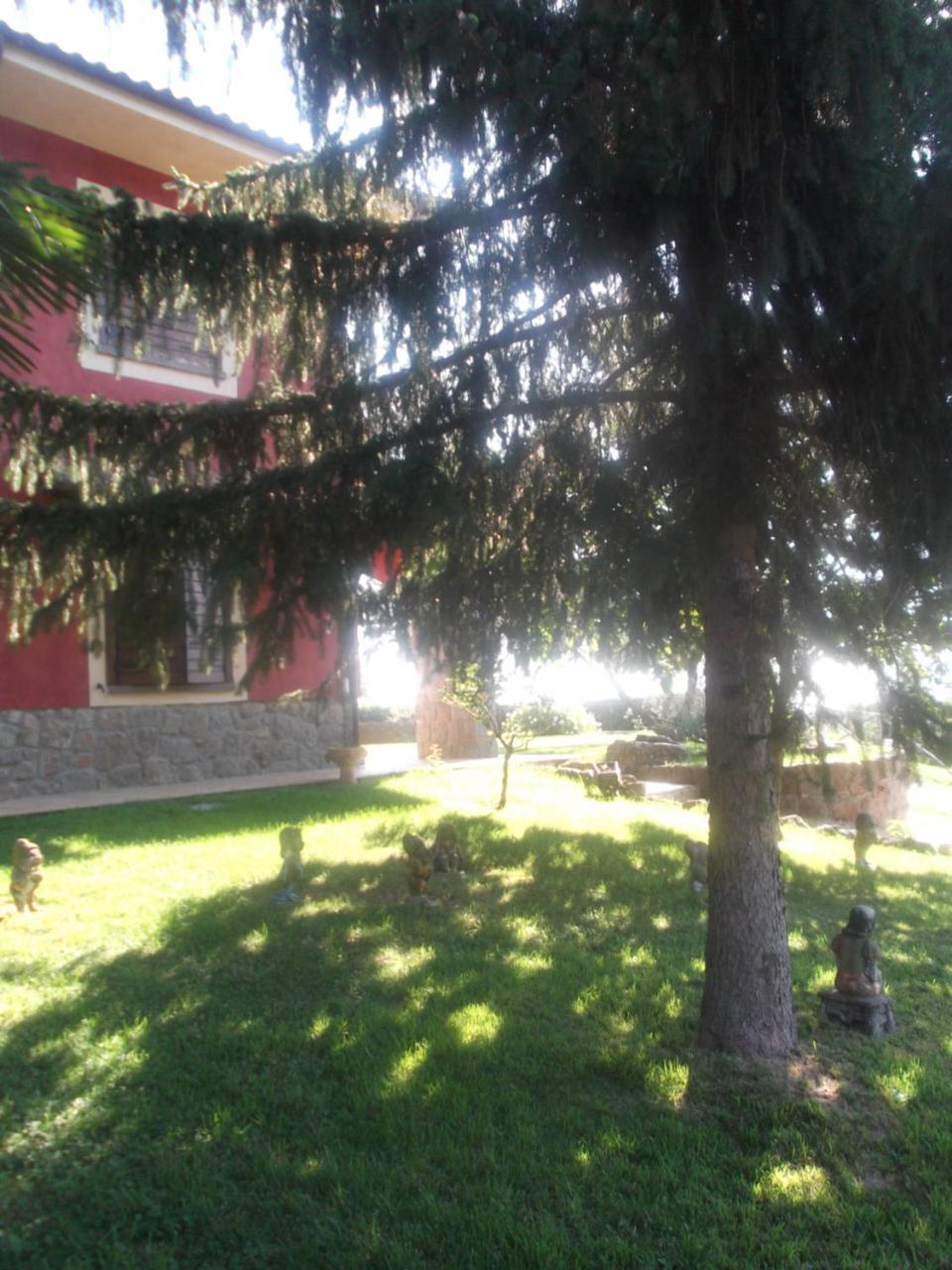 Agriturismo Casal Grande Canepina エクステリア 写真